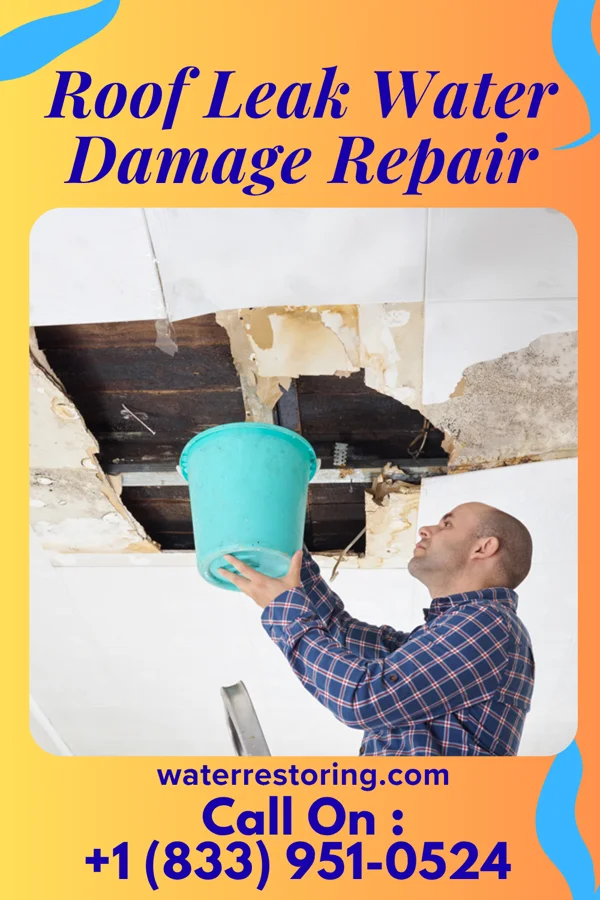 Roof Leak Water Damage Repair in Marquand, MO
